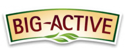 BIG-ACTIVE